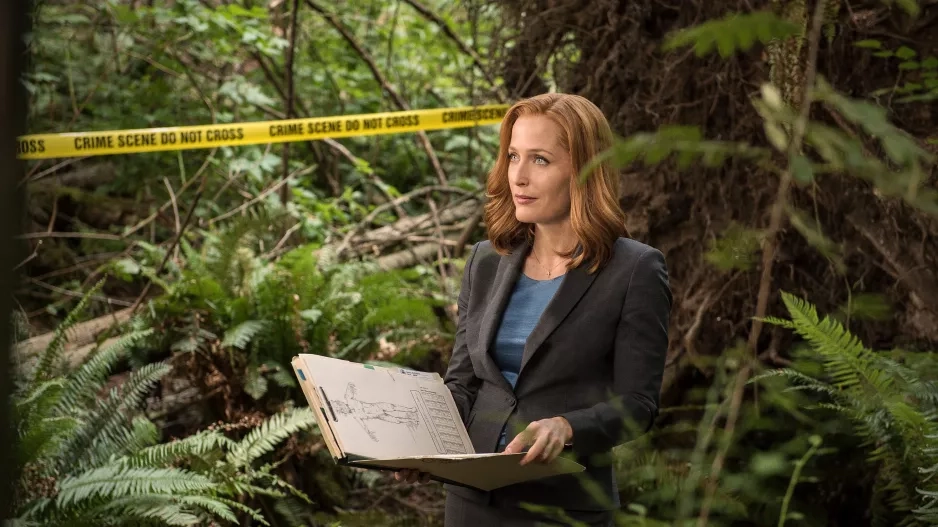 Dana Scully