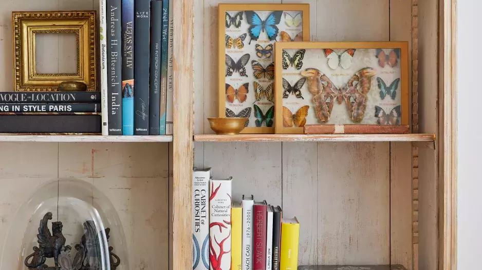 Království světla