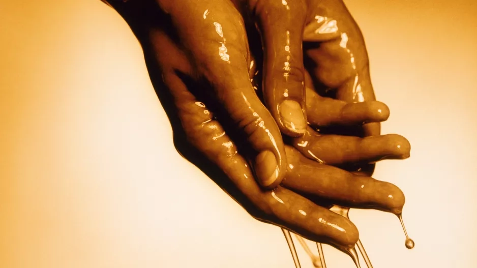 Včely versus beauty průmysl