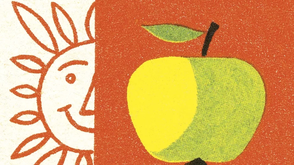 Stravujte se sezónně a lokálně