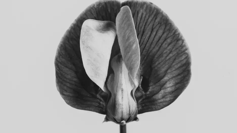 Chci to, ale nemůžu. Aneb když vaginismus ničí ženám sexuální život