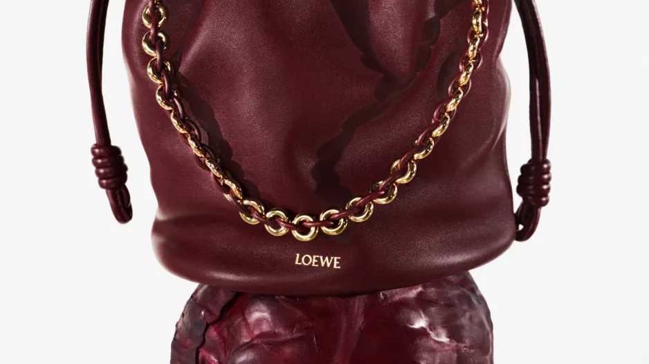 Loewe Loewe