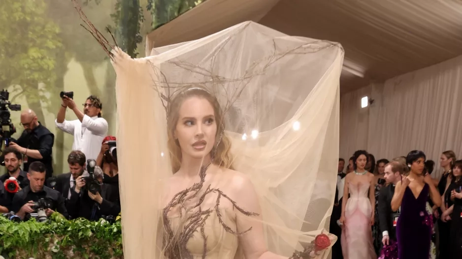 Met Gala 2024