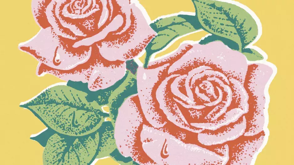 Růže pro sisterhood