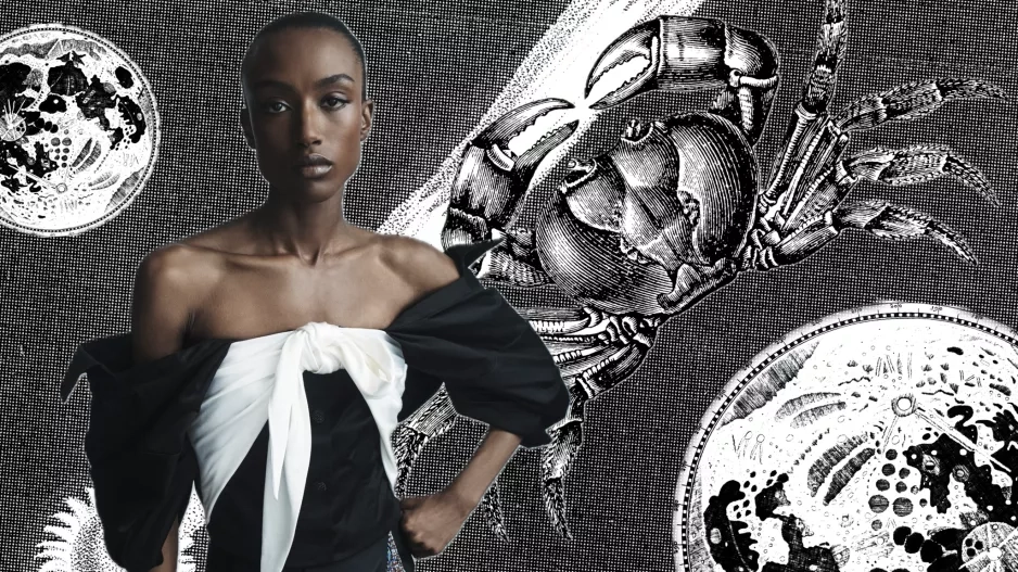 Velký horoskop pro znamení Raka