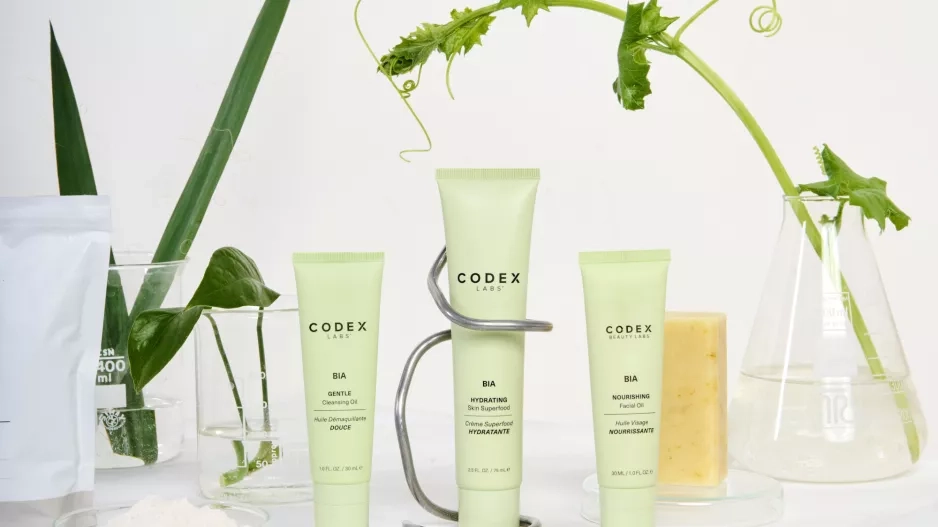 Codex Labs Codex Labs