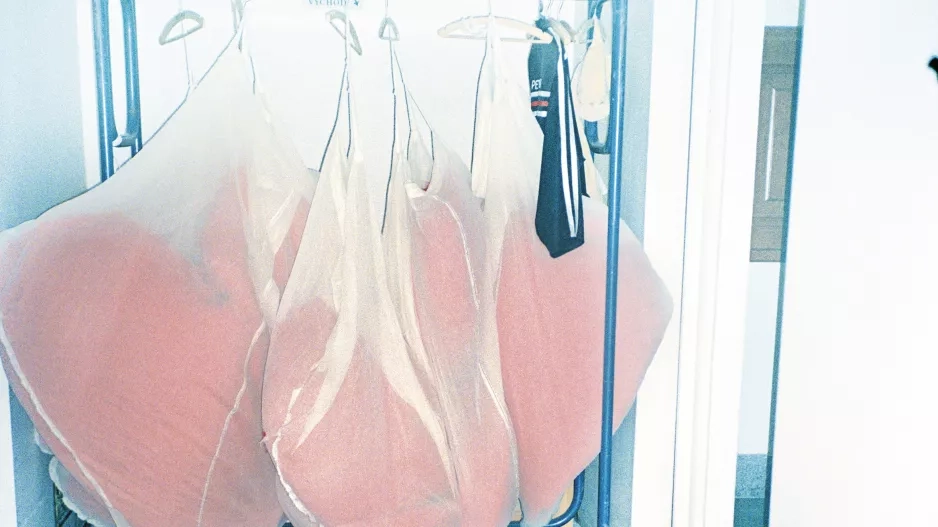 Pusinky ze série Národní divadlo, Libuše Jarcovjáková