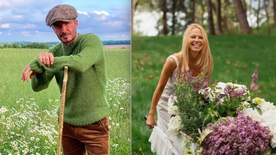 Celebrity gardening