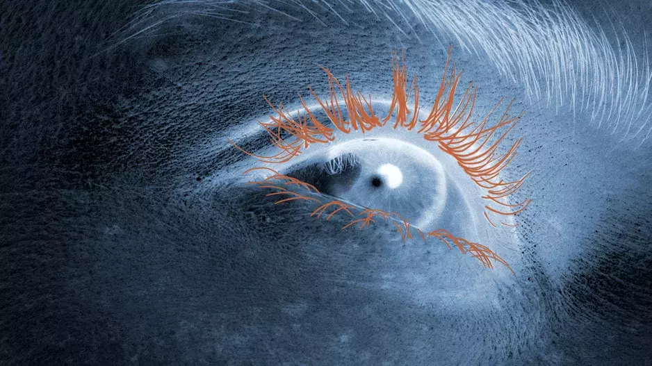 Technologie ve službách krásy