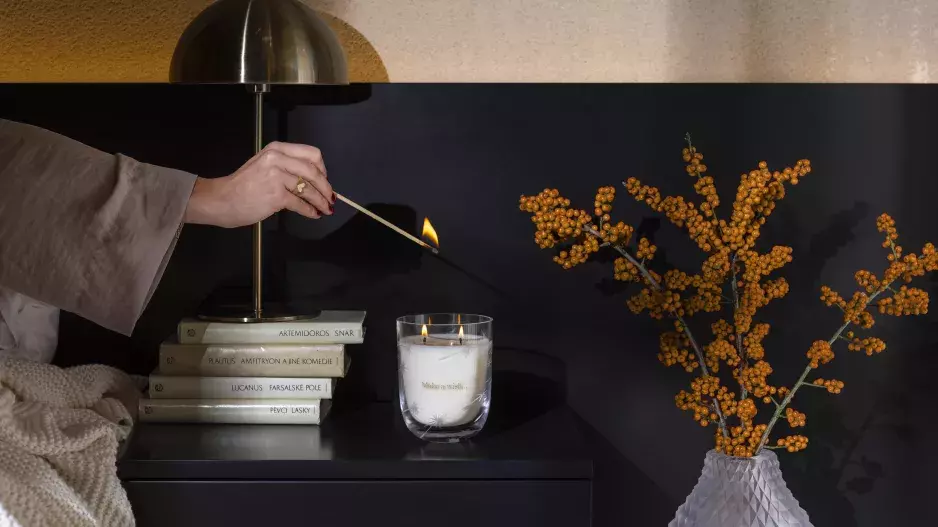 A. Pleslová pro Rückl