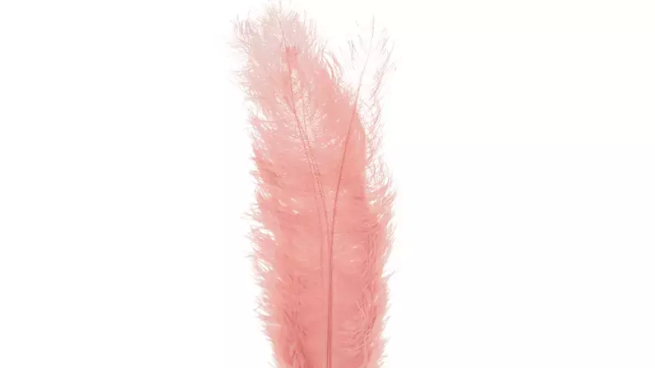 ELLE gift guide: hot & spicy