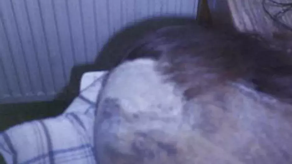 Libuše Jarcovjáková Libuše Jarcovjáková