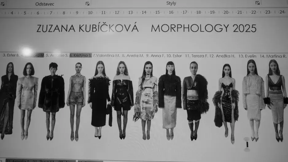 Zuzana Kubíčková Morphology 2025