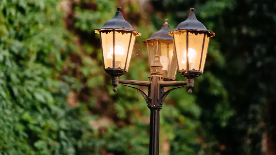 Villa Dom Carli Villa Dom Carli