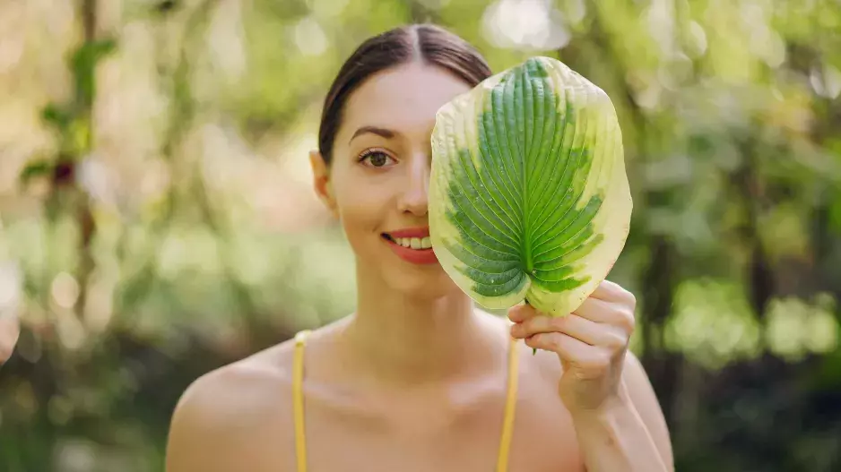 ochrana planety, e.on energy globe