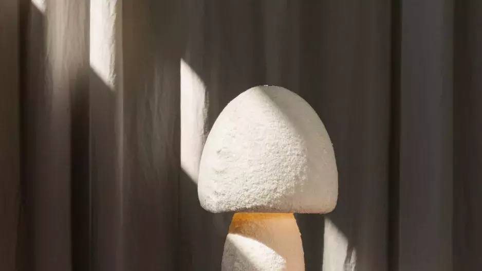 Aifunghi