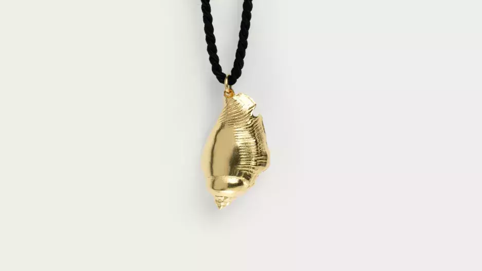 Atoll Conch Shell Black, Still life Atoll Conch Shell Black, Still life