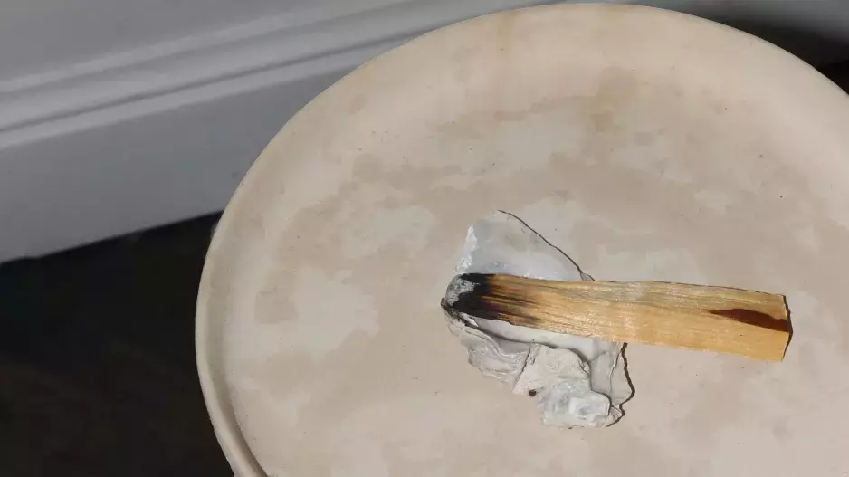 Palo Santo fair trade Palo Santo fair trade