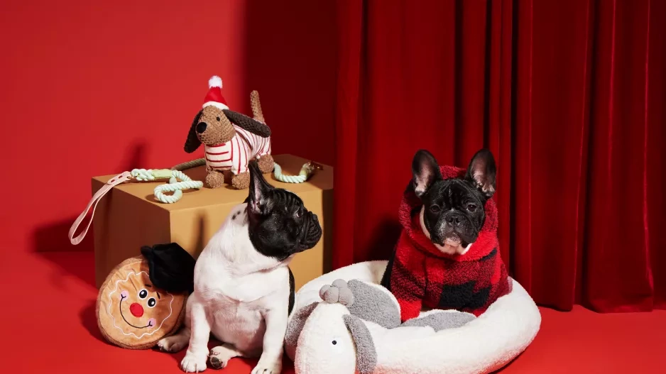 Doplňky a hračky pro mazlíčky