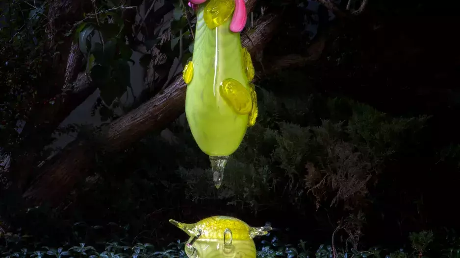 ANNA JOŽOVÁ - kolekce Paradiso Novo 