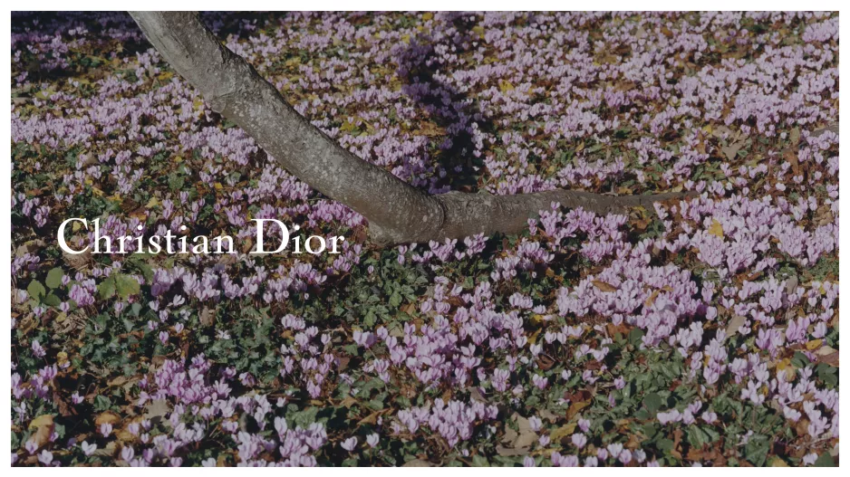 Haute Couture Spring Summer 2026