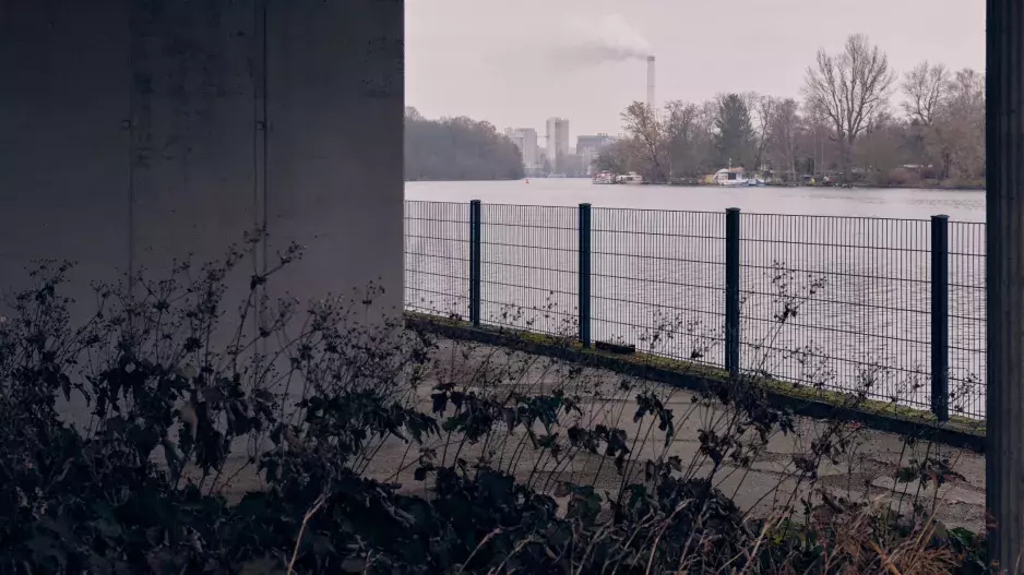 Anselm Reyle x Bomma