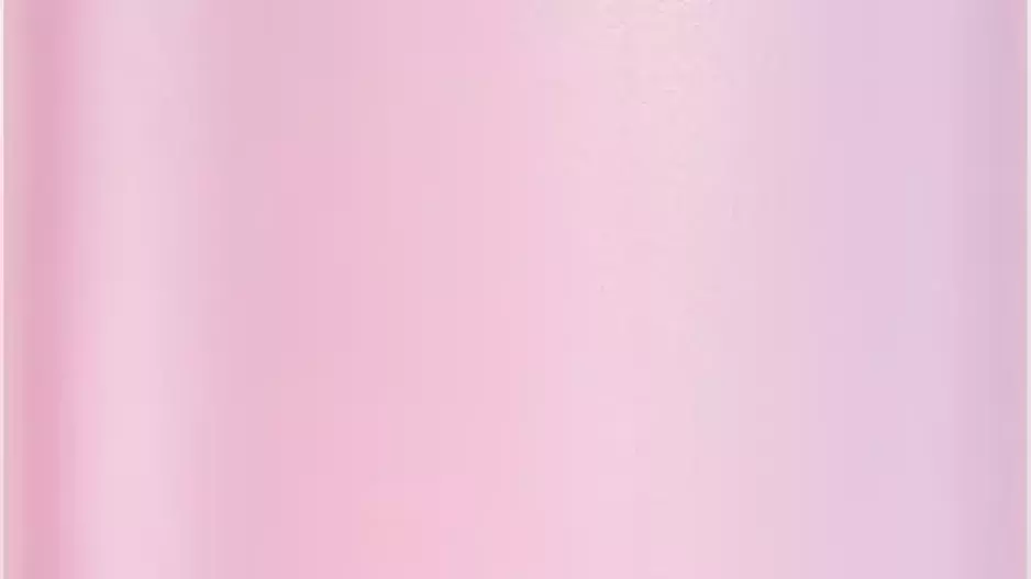 Brush cleaners Brush cleaners