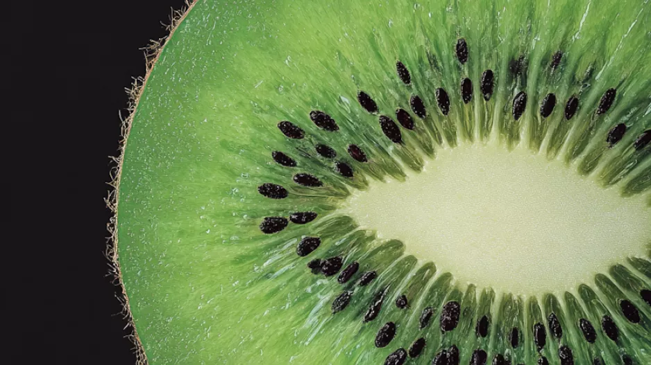 Kiwi
