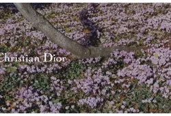 Haute Couture Spring Summer 2026