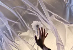 ALL things digesting