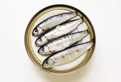 Sardines