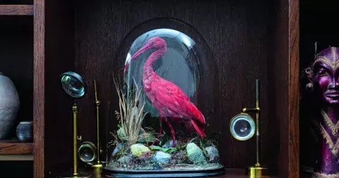 Paví oáza: Londýnská rezidence Gabriely Peacock