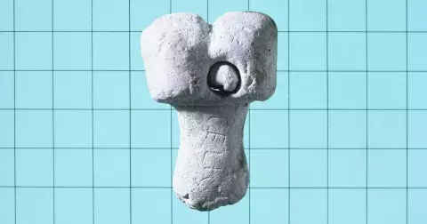 SEXUÁLNÍ UNIVERZITA: Vše, co jste kdy (ne)chtěli vědět o penisu