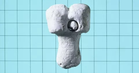 SEXUÁLNÍ UNIVERZITA: Vše, co jste kdy (ne)chtěli vědět o penisu