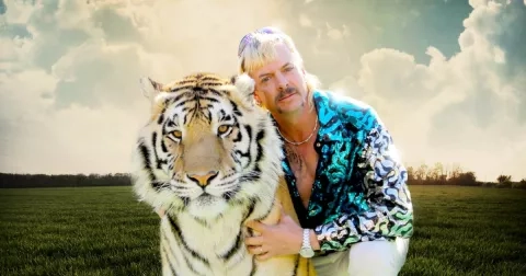 Top seriály roku 2020. Viděli jste je všechny?