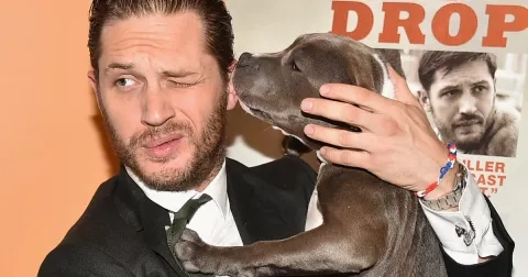 Celebrity a jejich čtyřnozí přátelé