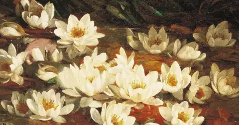 CARBON NEUTRAL MISE aka nový věk kosmetických produktů