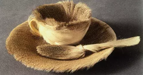 Šálky z kožešiny a Balenciagova černá: Kterou výstavu si vyberete vy?