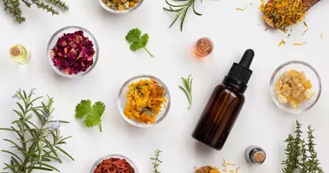 Horoskop léčivých bylin: Rybám prospěje jitrocel, beranům pampeliška