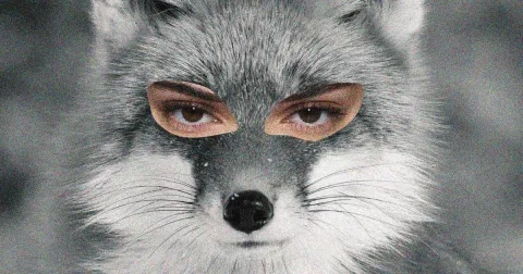 Foxy Eyes: Kouzlo kočičího pohledu nebo zbytečný zákrok?