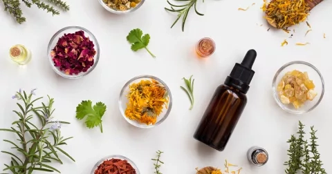 Horoskop léčivých bylin: Rybám prospěje jitrocel, beranům pampeliška