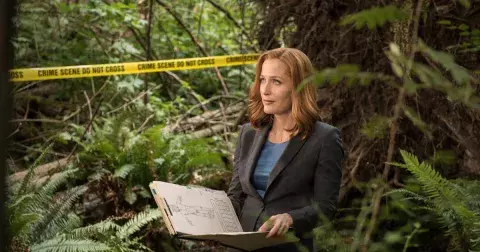 Efekt Scullyové: jak agentka z Akta X ovlivnila kariéry tisíců žen