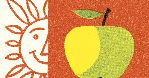 Stravujte se lokálně a sezónně. Proč dát přednost lokálním surovinám?