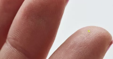 MSCHF představuje kabelku, na kterou potřebujete mikroskop