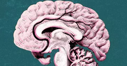 Nakrmte mozek: Jak podpořit kognitivní funkce a své duševní zdraví?