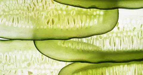 Superpotraviny, které si zamilujete. Teď hned!