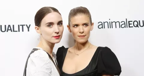 Jsou sourozenci, ale málokdo to ví. Které celebrity jsou rodina?