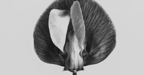 Chci to, ale nemůžu aneb když vaginismus ničí ženám sexuální život