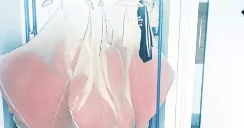 5 tipů na víkend: Kam vyrazit za ekologií, kulturou, uměním a filmem