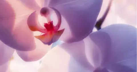 Jak zdravě hacknout své hormony? Začněte zevnitř, spánkem a jídlem